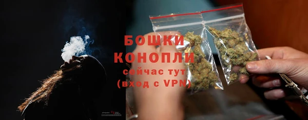 прущий лед Бикин