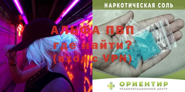 PSILOCYBIN Надым