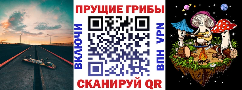 Псилоцибиновые грибы Cubensis  блэк спрут онион  Сосновоборск 