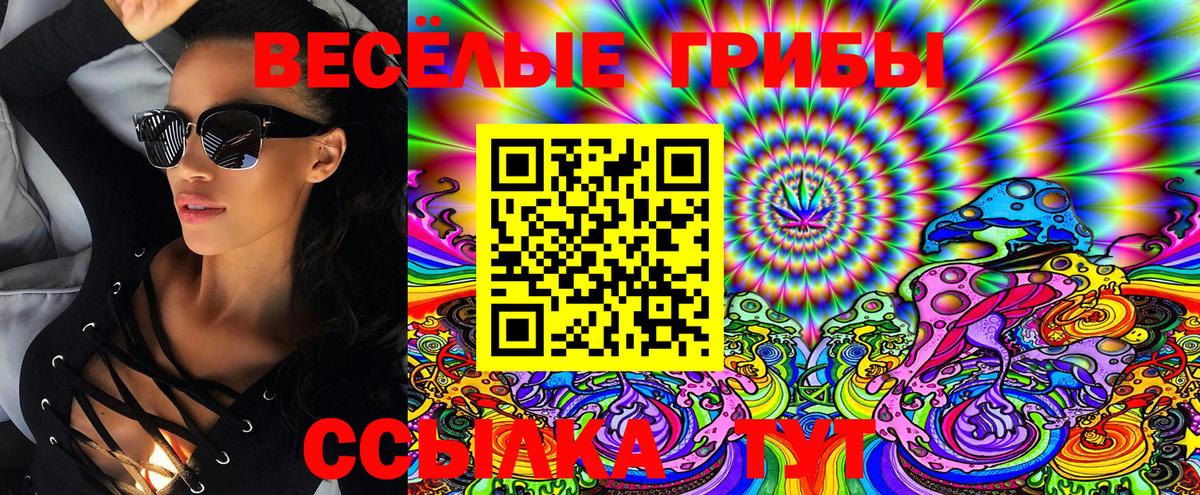 Сосновоборск  Псилоцибиновые грибы Magic Shrooms  закладки  Вход с VPN 