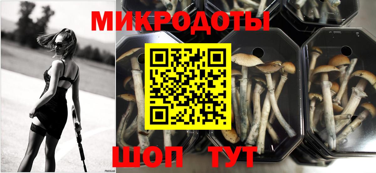 Псилоцибиновые грибы прущие грибы Сосновоборск
