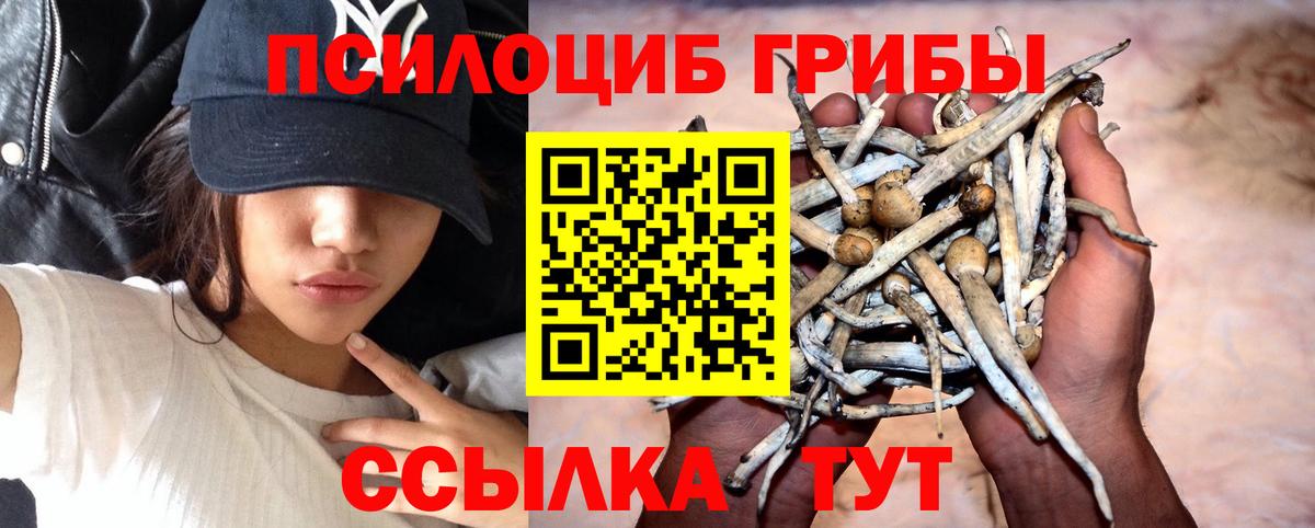 Галлюциногенные грибы ЛСД  Сосновоборск 