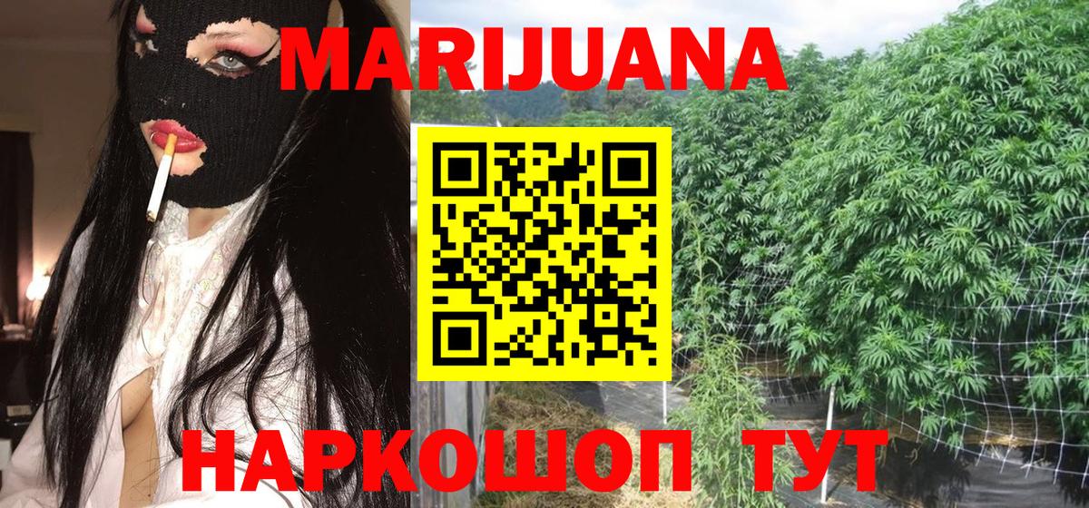Бошки Шишки семена  Бошки марихуана OG Kush  Конопля конопля  Сосновоборск  Бошки Шишки VHQ 